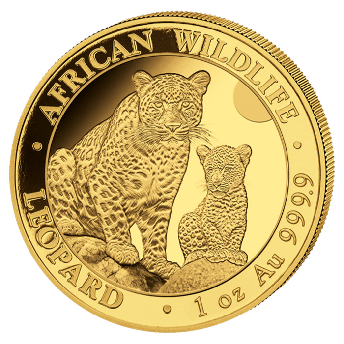Goldmünze 1 Unze African Wildlife Somalia Leopard 2024 - pro