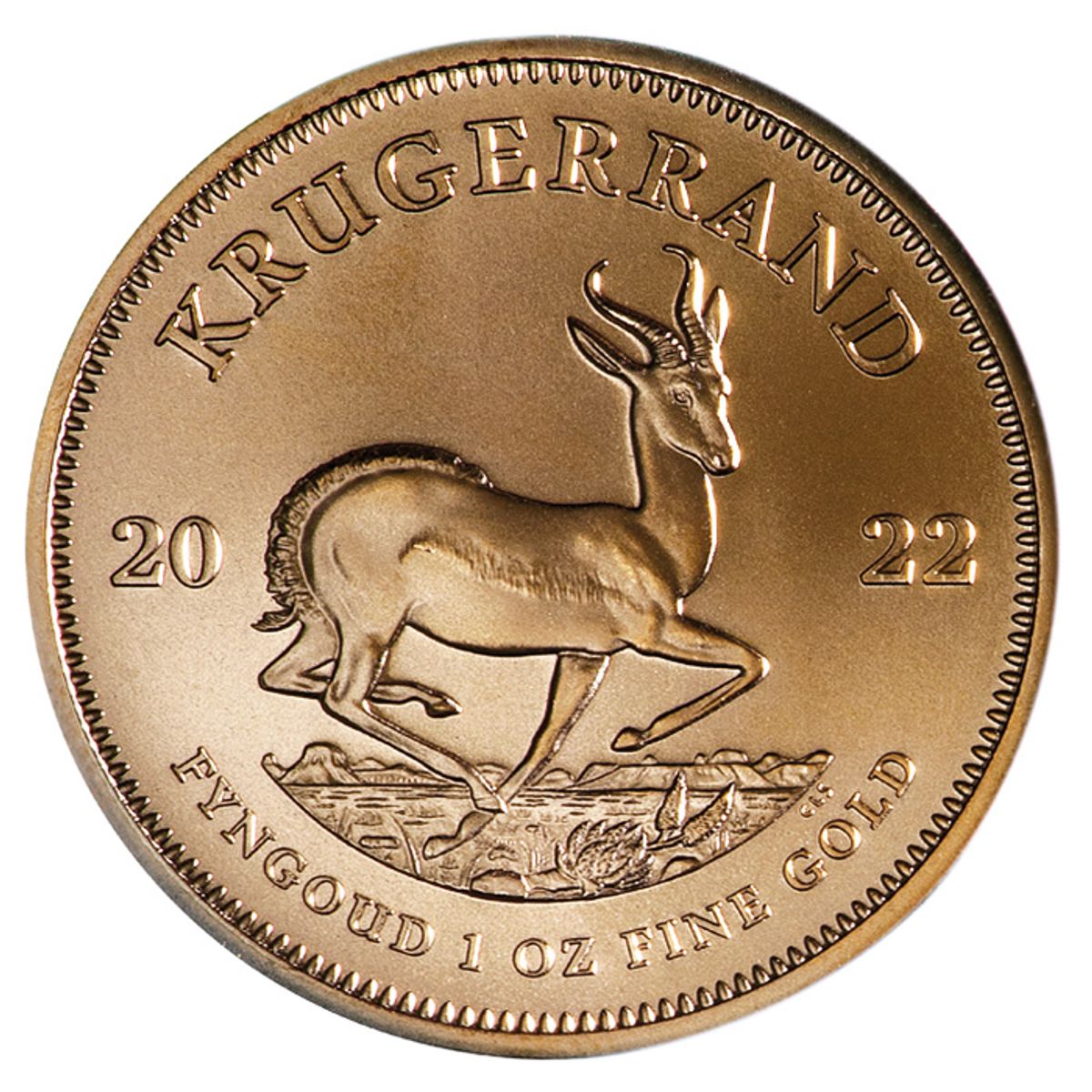 Goldmünze 1 Unze Krügerrand aktueller Jahrgang pro aurum Goldmünze 1 Unze Krügerrand aktueller Jahrgang pro aurum